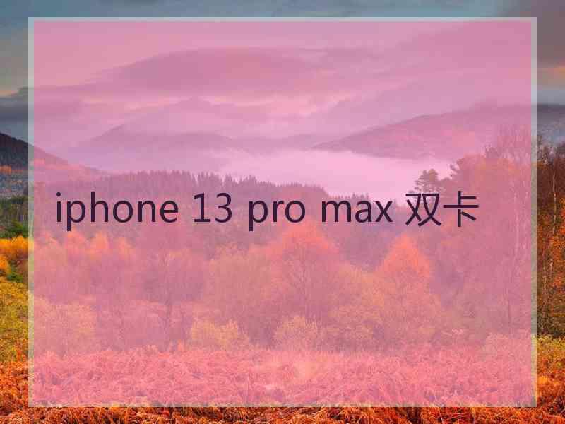 iphone 13 pro max 双卡