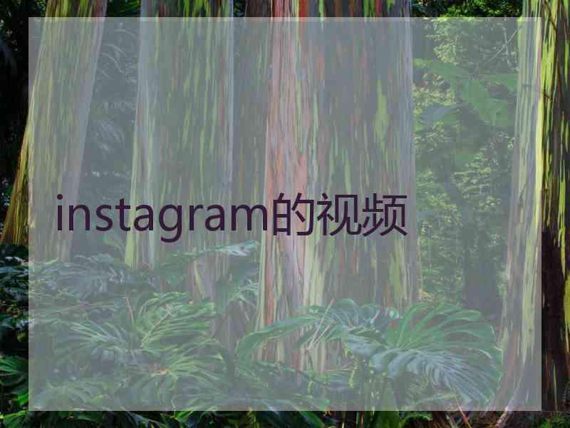 instagram的视频