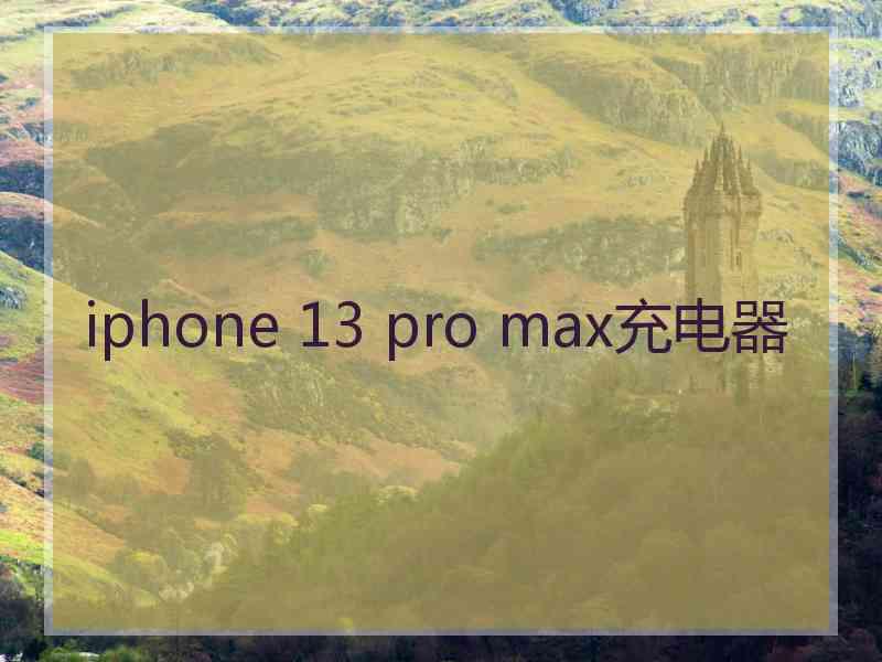 iphone 13 pro max充电器