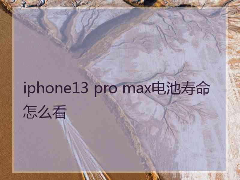 iphone13 pro max电池寿命怎么看