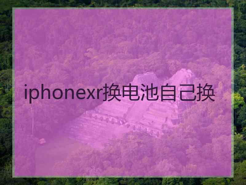 iphonexr换电池自己换