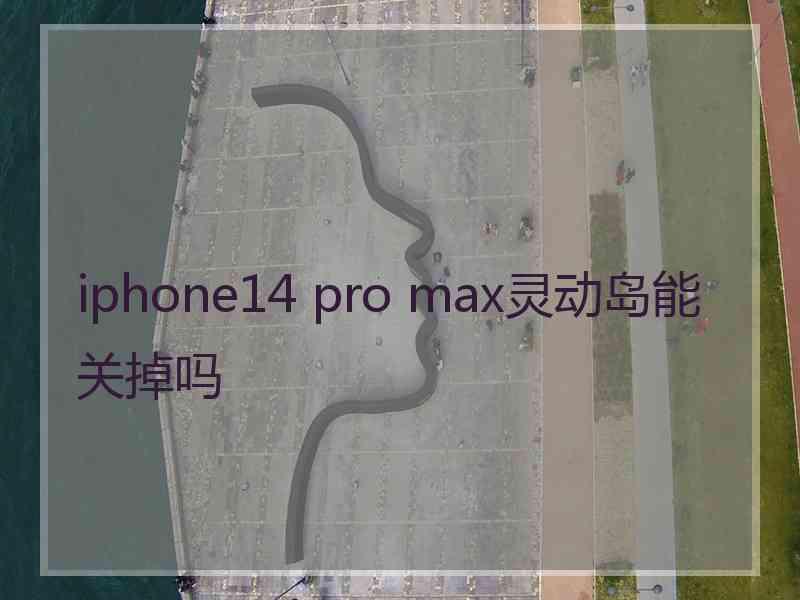 iphone14 pro max灵动岛能关掉吗