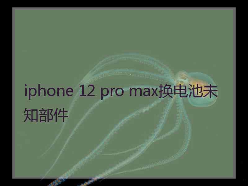 iphone 12 pro max换电池未知部件