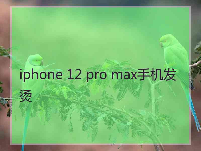 iphone 12 pro max手机发烫