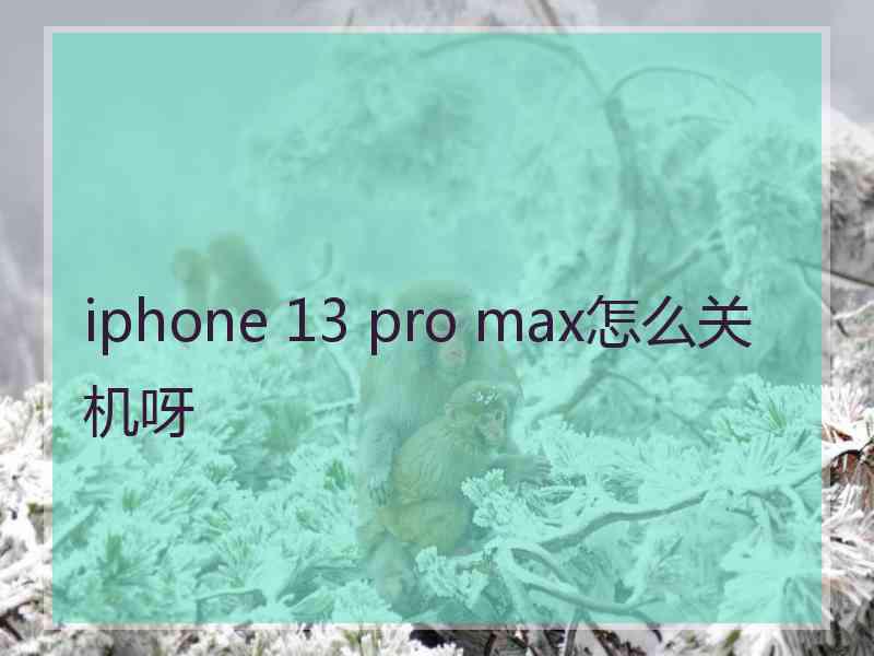 iphone 13 pro max怎么关机呀