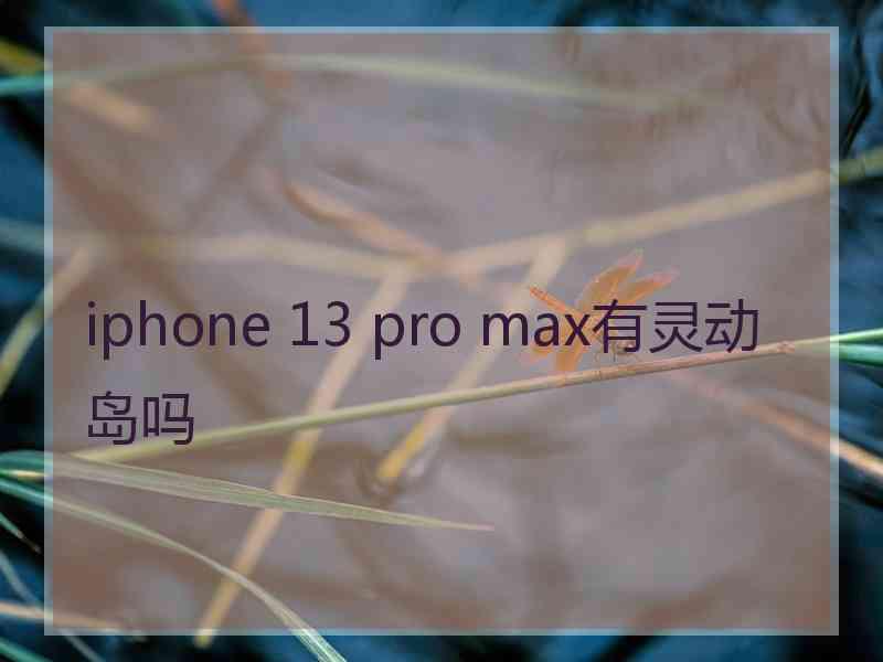 iphone 13 pro max有灵动岛吗