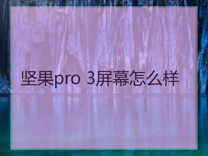 坚果pro 3屏幕怎么样