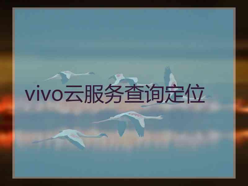 vivo云服务查询定位