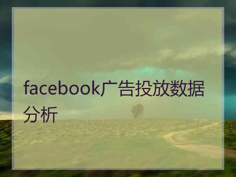 facebook广告投放数据分析