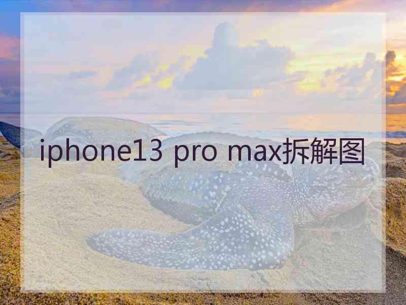 iphone13 pro max拆解图