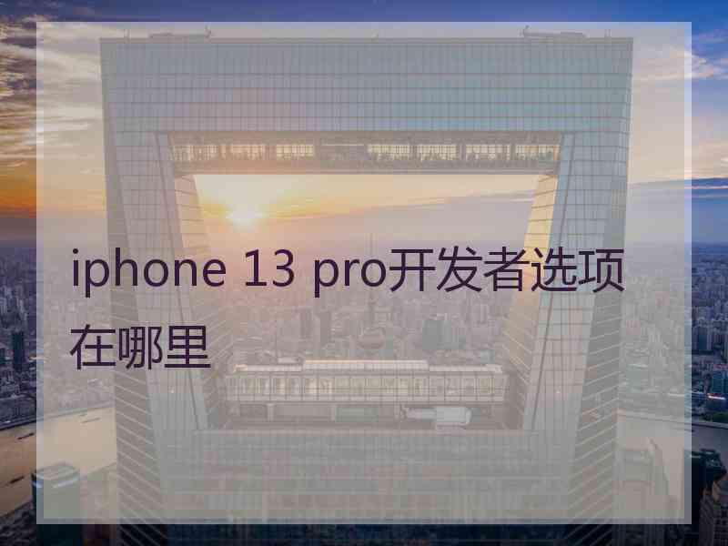 iphone 13 pro开发者选项在哪里