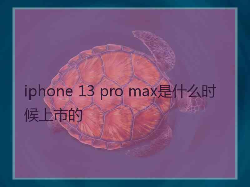 iphone 13 pro max是什么时候上市的