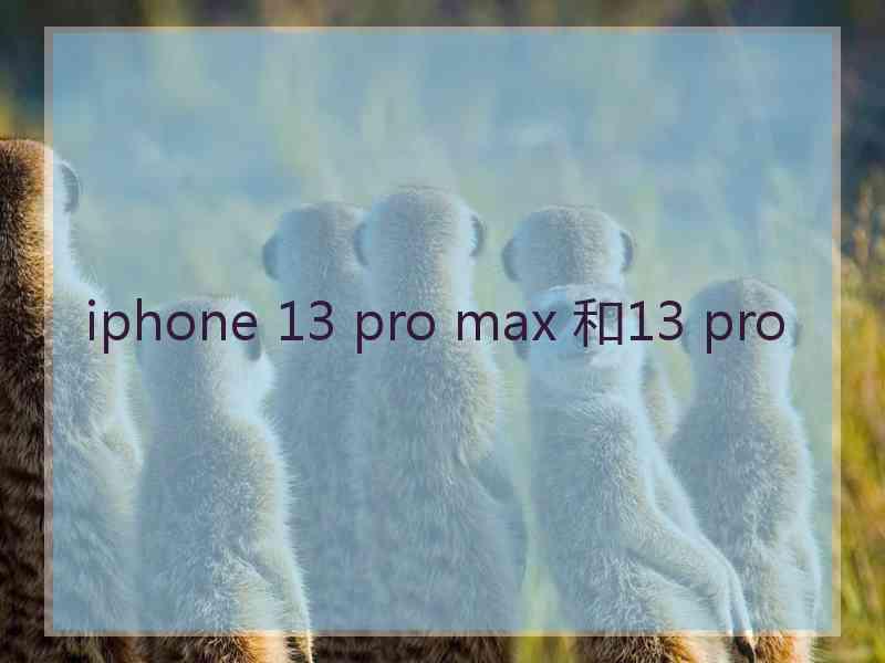 iphone 13 pro max 和13 pro