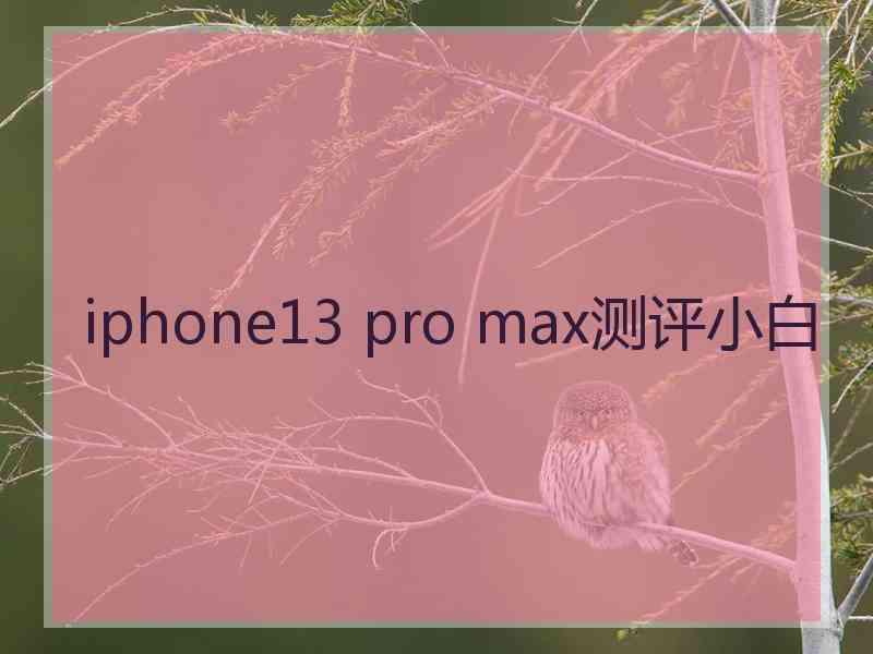 iphone13 pro max测评小白