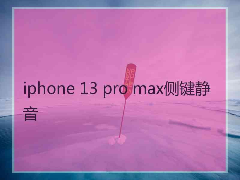 iphone 13 pro max侧键静音