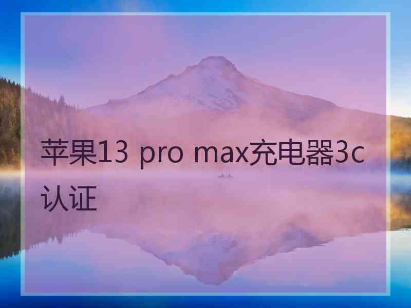 苹果13 pro max充电器3c认证