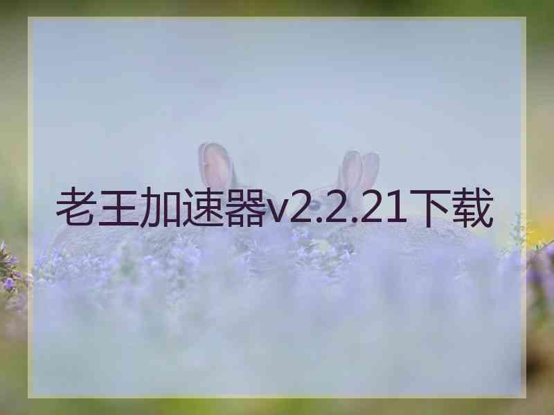 老王加速器v2.2.21下载