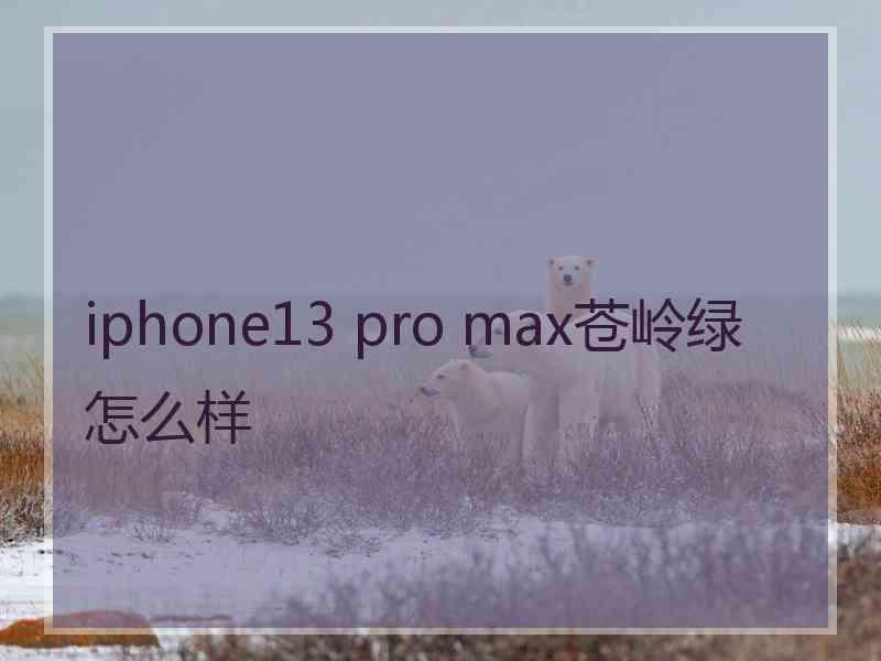 iphone13 pro max苍岭绿怎么样