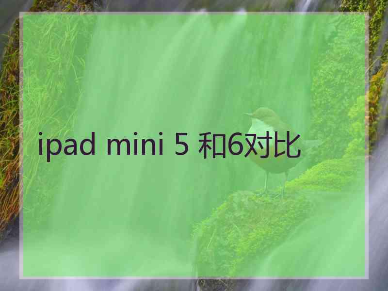 ipad mini 5 和6对比