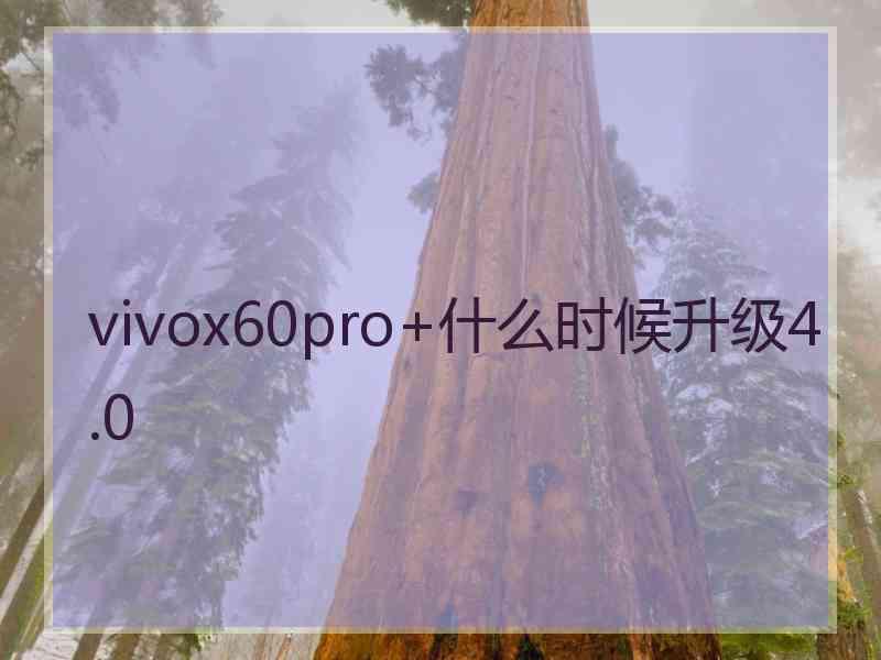 vivox60pro+什么时候升级4.0