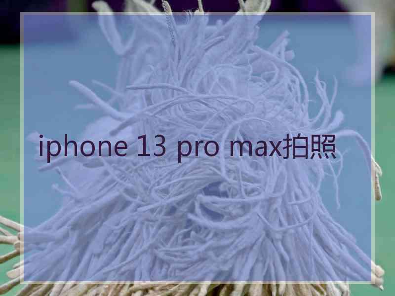 iphone 13 pro max拍照