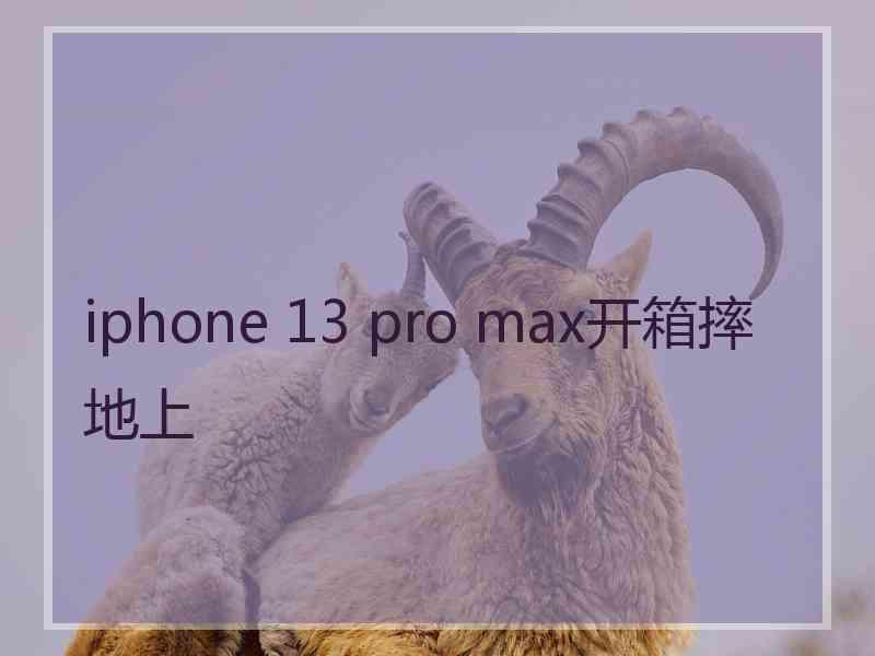 iphone 13 pro max开箱摔地上