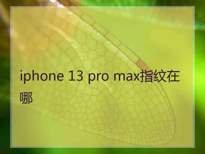 iphone 13 pro max指纹在哪