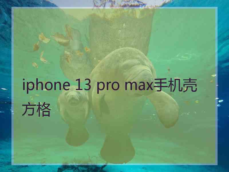 iphone 13 pro max手机壳方格