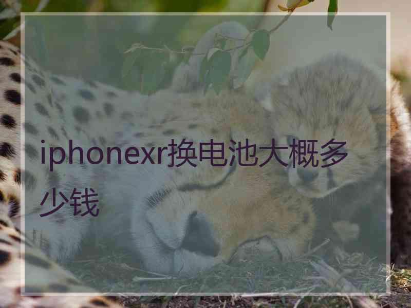 iphonexr换电池大概多少钱