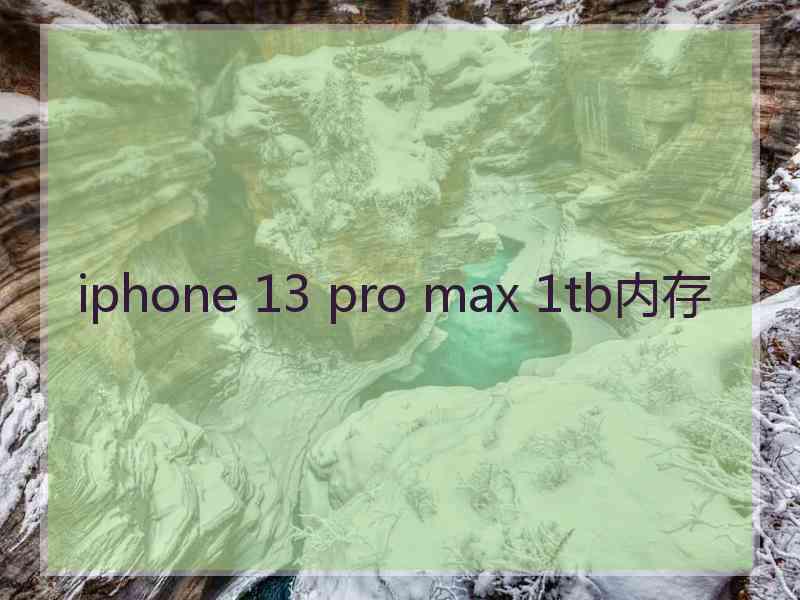 iphone 13 pro max 1tb内存