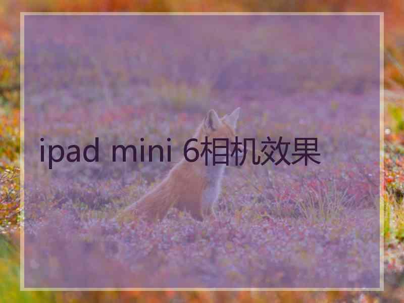 ipad mini 6相机效果