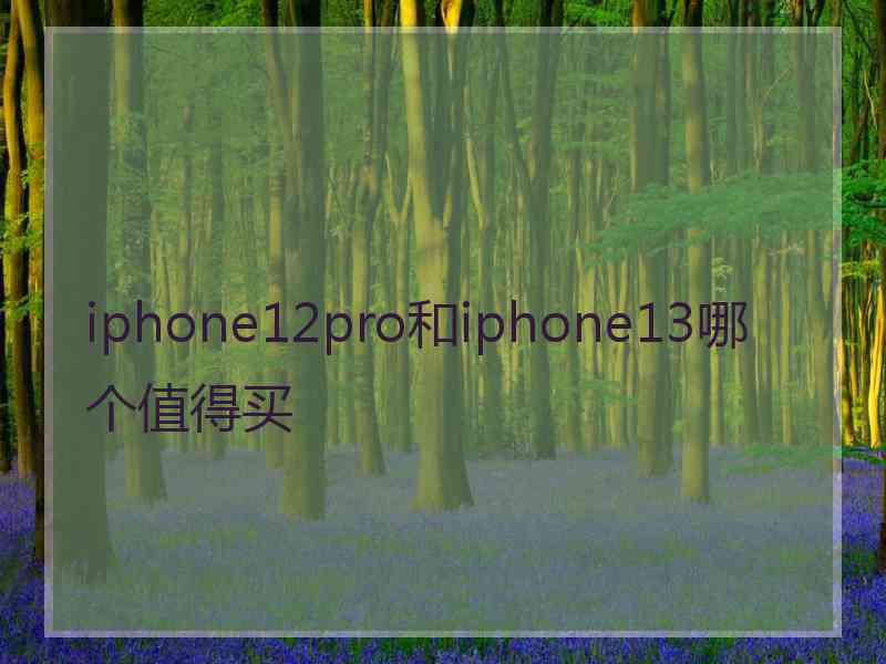 iphone12pro和iphone13哪个值得买