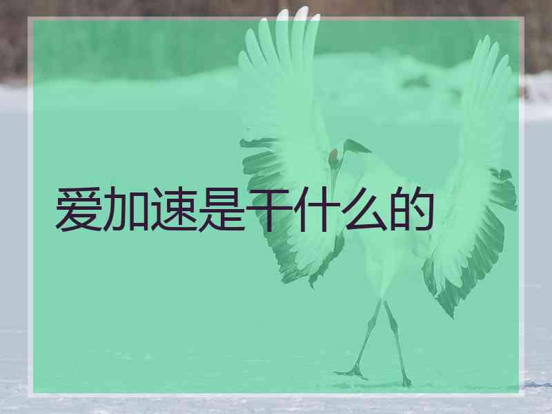 爱加速是干什么的