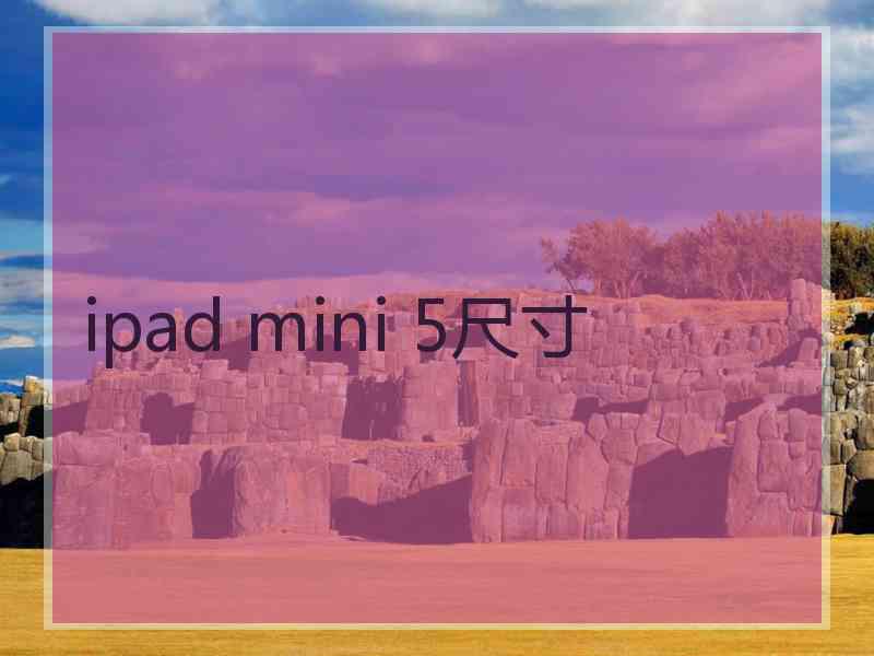 ipad mini 5尺寸