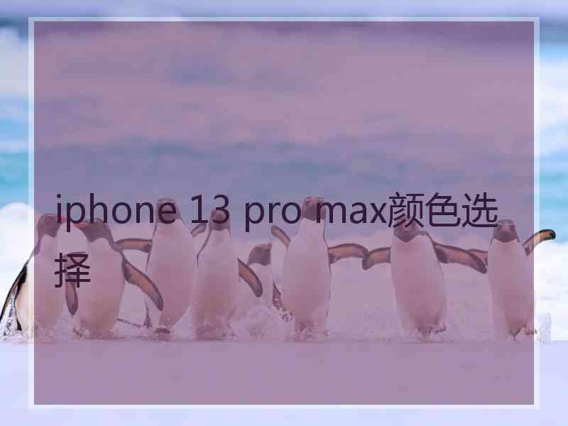 iphone 13 pro max颜色选择