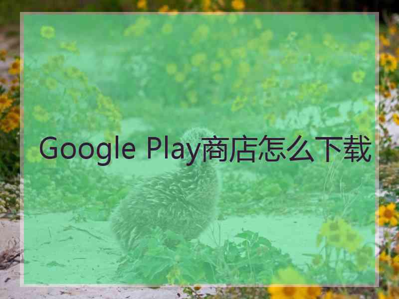 Google Play商店怎么下载