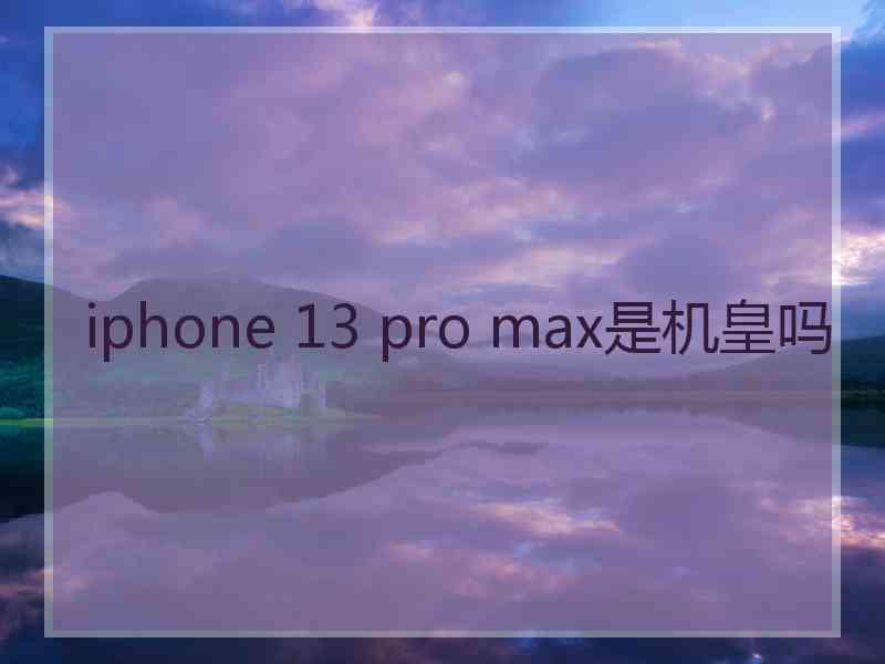 iphone 13 pro max是机皇吗