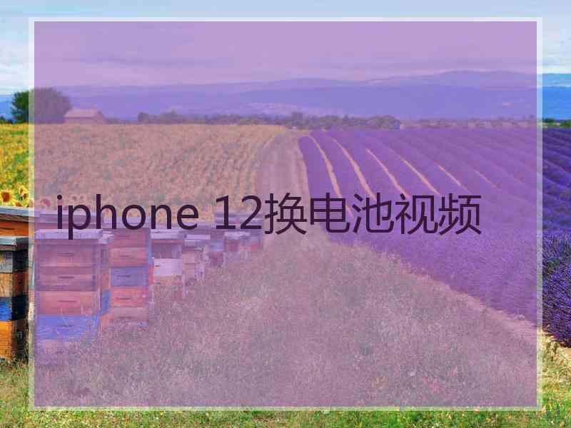 iphone 12换电池视频