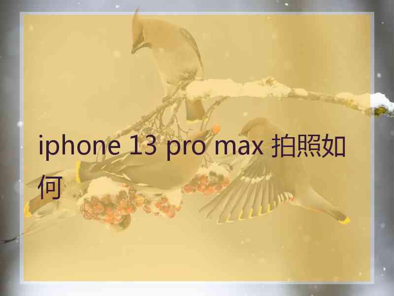 iphone 13 pro max 拍照如何