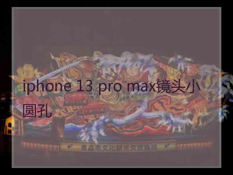 iphone 13 pro max镜头小圆孔