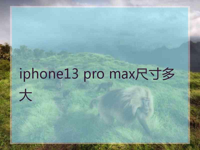 iphone13 pro max尺寸多大