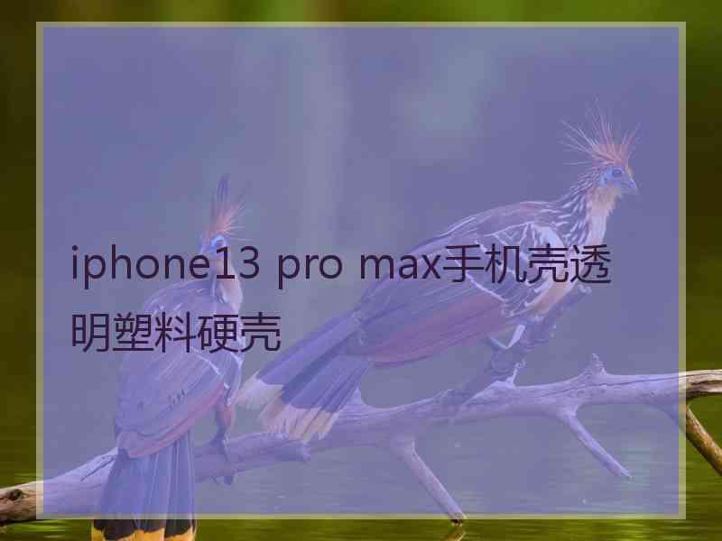 iphone13 pro max手机壳透明塑料硬壳