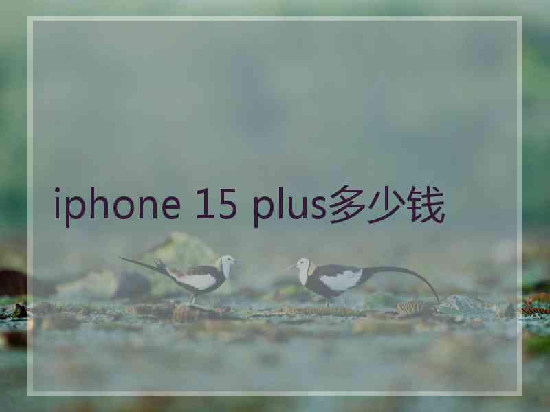 iphone 15 plus多少钱