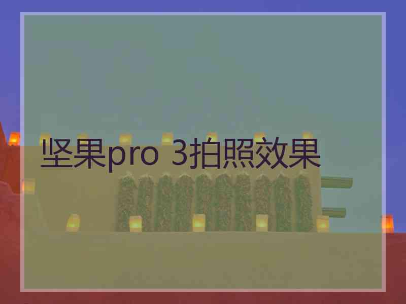 坚果pro 3拍照效果