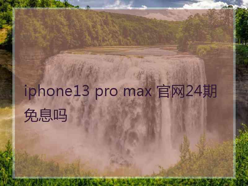 iphone13 pro max 官网24期免息吗