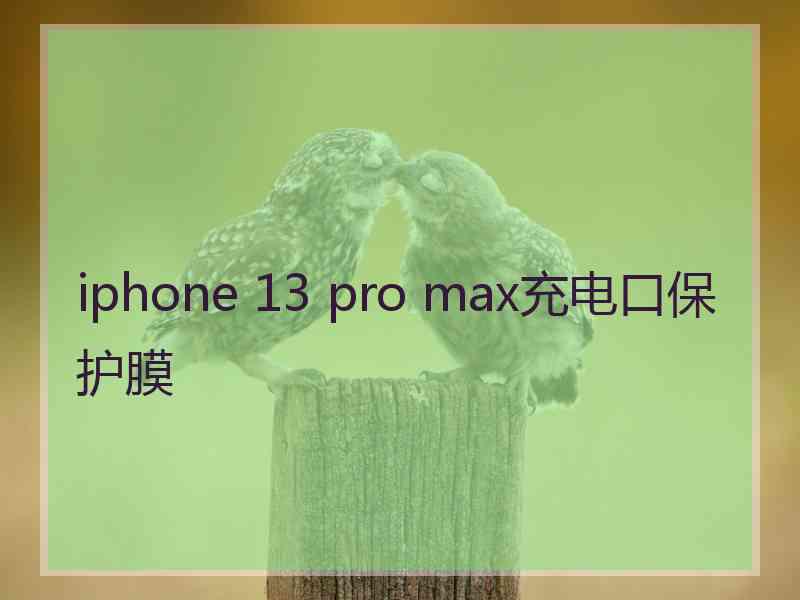 iphone 13 pro max充电口保护膜