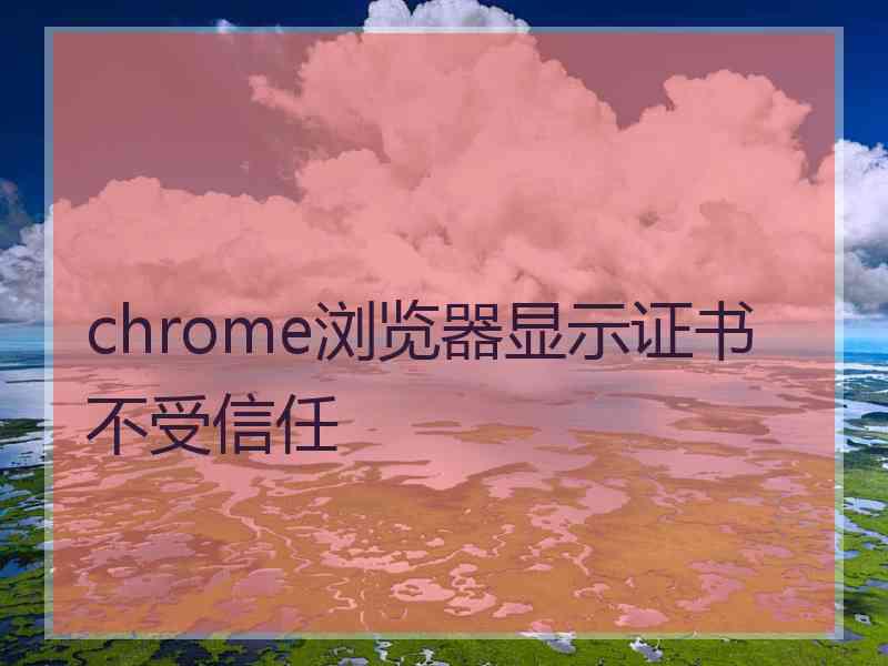 chrome浏览器显示证书不受信任