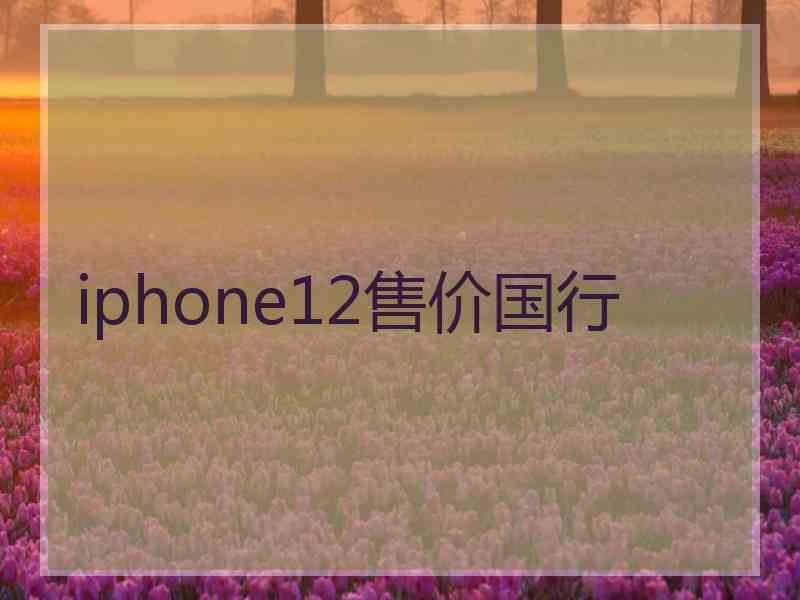 iphone12售价国行