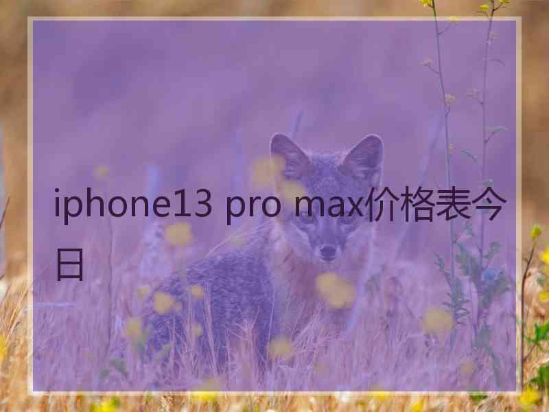 iphone13 pro max价格表今日