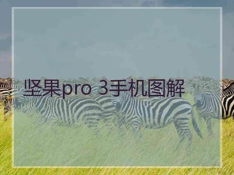 坚果pro 3手机图解